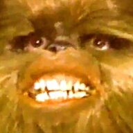 Hecken_Hecker