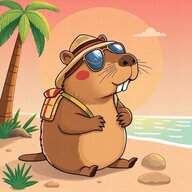 Super Chill Beaver