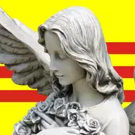 Angelicaster