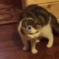 FatalError