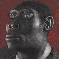 Homey Erectus