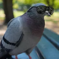 That Bird With The Shades