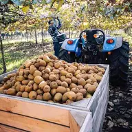 Farm Hand