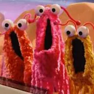 Yip Yip Yip