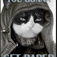 Rape Nigger