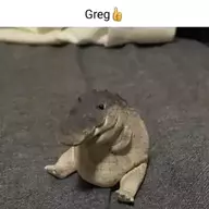 gregory123