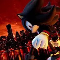 Shadow the Niggerhog