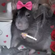 Ratgirl
