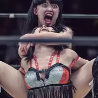 WWEISFORFAGS