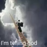 Internet May Be Gay