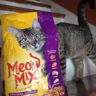 Meow Mix Fan