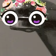 NuII's Clitty💦
