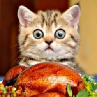 Soul Eating Dog