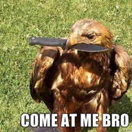 generalmeldor