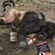 Drunk_as_a_wunk