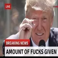 T_D_S