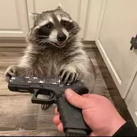 fed in kiwi clothing