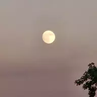 look at the moon