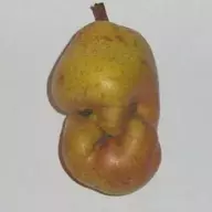 ApearFruit