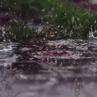 Rain From The Ground
