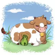 Kiwi & Cow