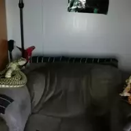 the bog connection