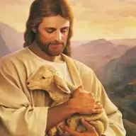 LostLamb