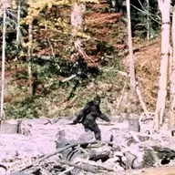 Bigfoot