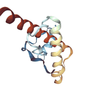 Prion Disease