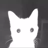 Wandering Ghost