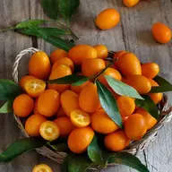 Pickled Cumquat