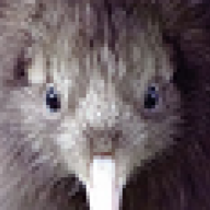 [NOISE]