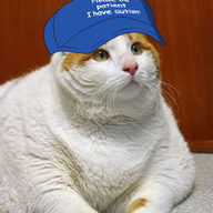 Fattest Cat in the World