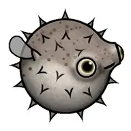 Green_Pufferfish