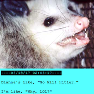 Opossum