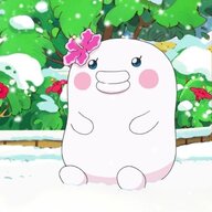 Kuchipatchi