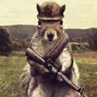 Squirrely