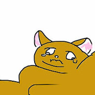 BoobWhiskers