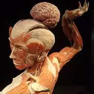 lexapro