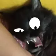 Idiotron