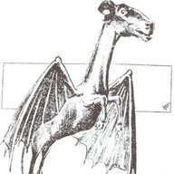 Jersey Devil