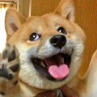 HappieSlappie