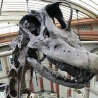 Gaylord Brachiosaurus