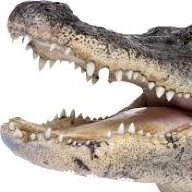 THEGATOR
