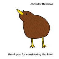 littlekiwi