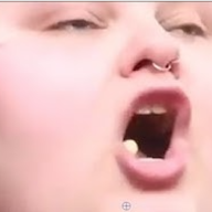 WhalesOnWheels