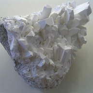 Borax Bozo