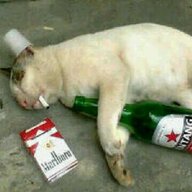 Enjoy_the_Soylence