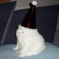 ditto