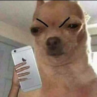 CatharticShitHead